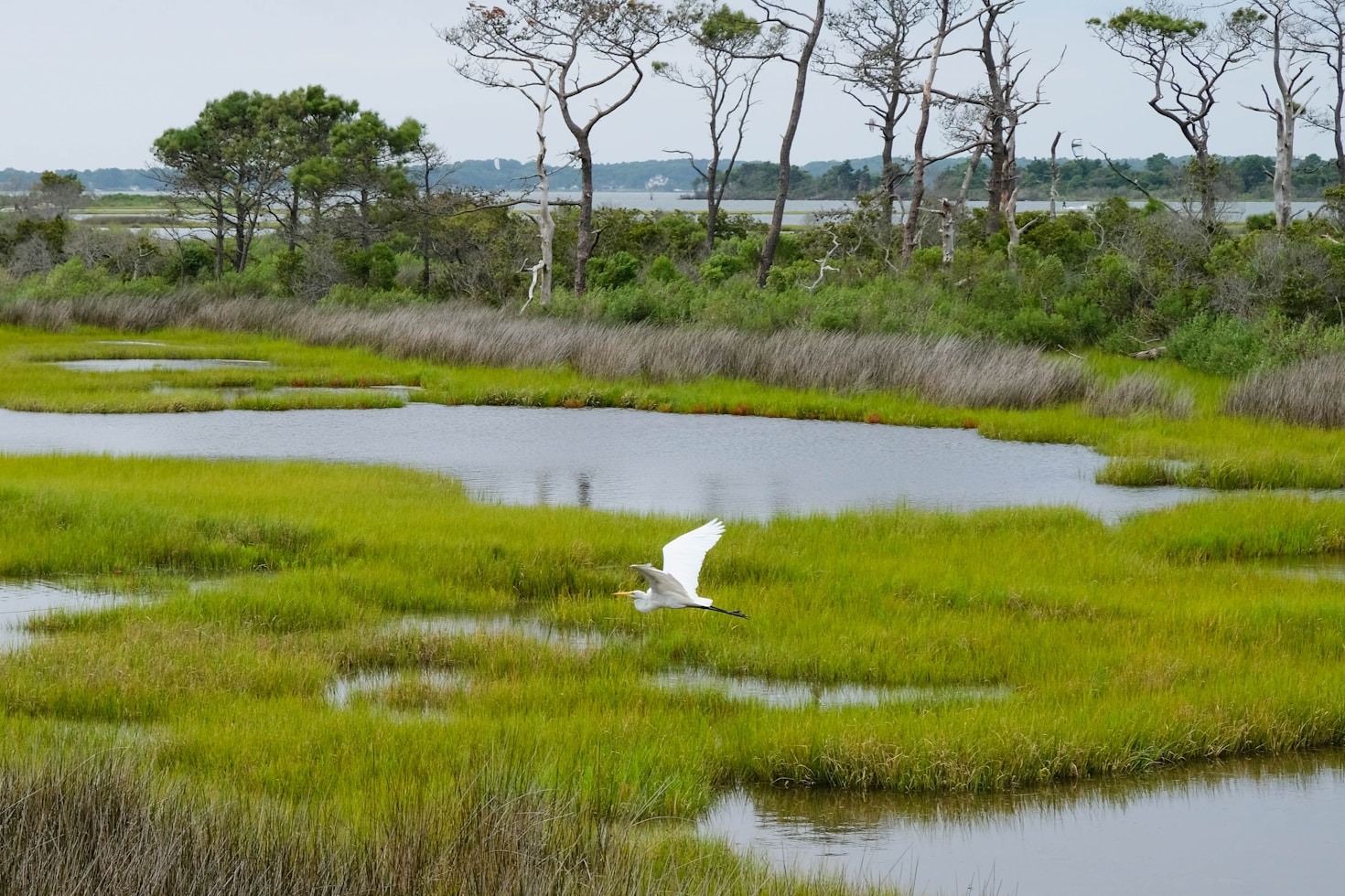 Beaufort’s Open Land Trust: A Vision for the Future